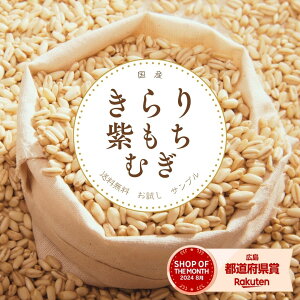  Tv Y 50g 10%z  OJ L[u _CGbg ͂ ł H@ X[p[t[h Ăƈꏏɐ N!y