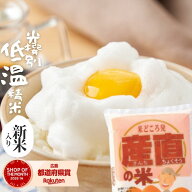 【 新米 令和8年入 】 米 20kg 訳あり米 【 産直の米 】 5kg×4袋 お米マイスター厳選米 米 20kg 送料無…