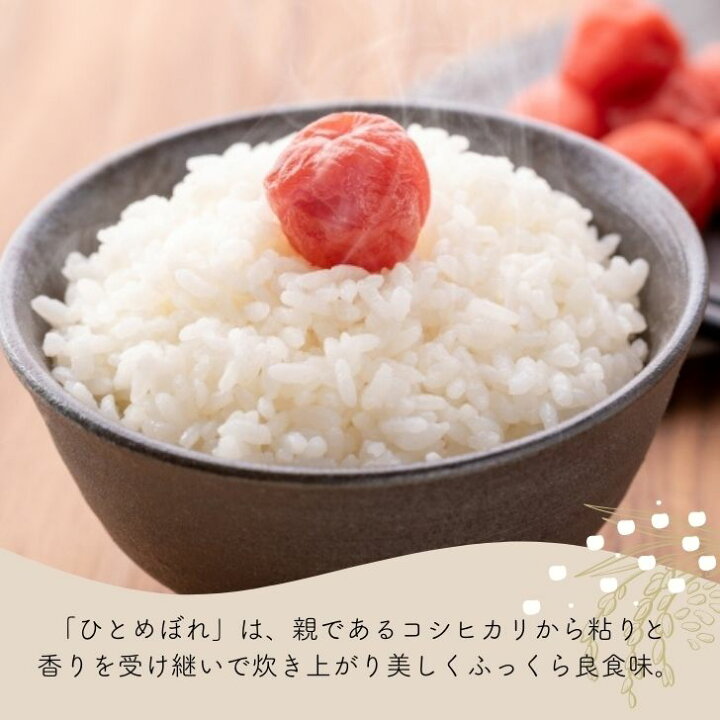 楽天市場】米 30kg 送料無料 ひとめぼれ 広島県産 令和7年産 米30キロ 