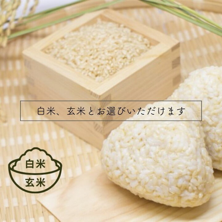 楽天市場】お米 30kg 送料無料 コシヒカリ 広島県産 令和6年産  