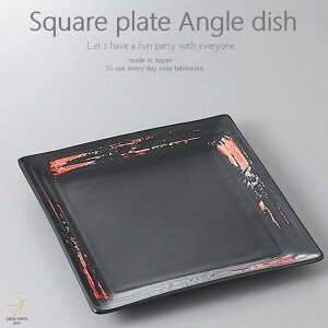 aH ɂɂo^[ݖ̃pX^ ԍ pM XNGA 228×228×25mm  ͂   Z { CX^f