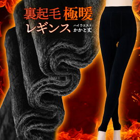 極暖 あったか 裏起毛 レギンス レディース タイツ 厚手 スパッツ 防寒 着る毛布 パンツ トレンカ 人気 ふわふわ 暖か 無地 スキニー 裏起毛レギンス 重ね着 インナー ルームウェア パジャマ 冬