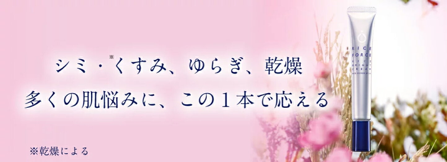 楽天市場 | ライスフォース楽天市場店 - ライスフォース 公式ストア 
