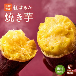 g͂邩 Ⓚ Ă 1kg Y HMtg  ₵ ₫ ˂Ƃ Y 錧Y   XC[c َq ܈ 蕨   i 