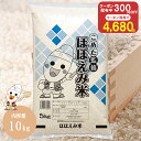 【SS限定/数量限定300円OFFクーポン使用で4,680円】令和7年産 国内産 ほほえみ米 5kg / 10kg お米 米 送料無料 白米 …