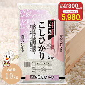 �y�N�[�|�����p��5,980�~�z�ߘa7�N �Y�n���I �R�V�q�J�� 10kg ���� �� �������� ���� 10�L��