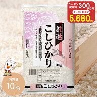 令和7年 産地厳選 コシヒカリ 10kg お米 米 送料無料 白米 10キロ