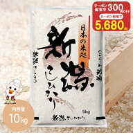 【新米前の特別SALE】令和7年 新潟県産 コシヒカリ 5kg / 10kg お米 米 送料無料 白米
