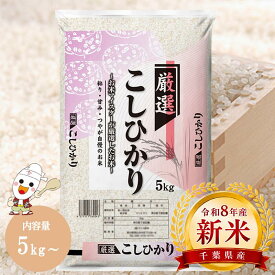 【 新米 】令和8年 産地厳選 コシヒカリ 5kg / 10kg (5kg×2個) お米 米 送料無料 白米 10キロ