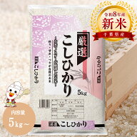 【 新米 】令和8年 産地厳選 コシヒカリ 5kg / 10kg (5kg×2個) お米 米 送料無料 白米 10キロ