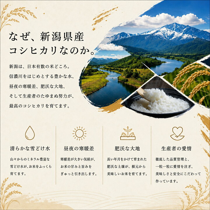 楽天市場】【新米前の特別SALE】令和7年 新潟県産 コシヒカリ 5kg 