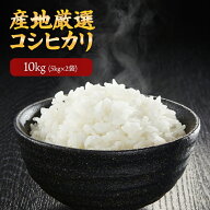 令和7年 産地厳選 コシヒカリ 10kg （5kg×2個）お米 送料無料 白米