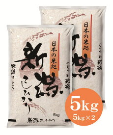 【新潟米の極み】令和7年 新潟県産 コシヒカリ 10kg （5kg×2個）お米 送料無料 白米