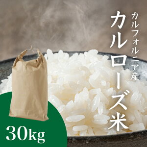 ăJ[Y AJ J[Y JtHjA  Ɩ X[p[ 30kg CO AJ Y čY 30kg  e    ͂  CX JtHjAY 