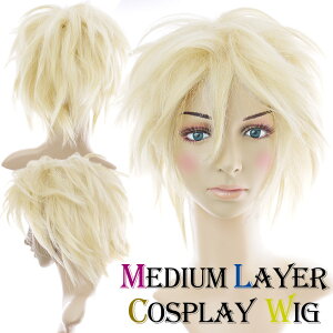 RXvEBbO YEBbO ~fBAC[tEBbOyzCg~L[zbNnEpNnCxgɂIij jp  WIG nEB zXgn rWAn 