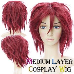 RXvEBbO YEBbO ~fBAC[tEBbOyCbhzbNnEpNnCxgɂIij jp  WIG nEB zXgn rWAn Ԏ 