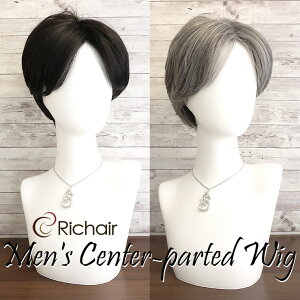 【期間限定SALE価格】メンズフルウィッグ センター分けショートウィッグ(メンズ かつら 男性用 ウイッグ 医療用 ショートヘアー 真ん中分け 白髪 グレーヘアー グレイヘアー)