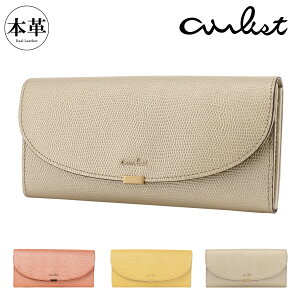 GAXg z Ԃ M\^ {v fB[X i^bN 24750 airlist | v U[