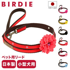 o[fB [h p t@bV[h STCY ^ { 8397 BIRDIE _Ã[h |   킢 ю  U ł[]