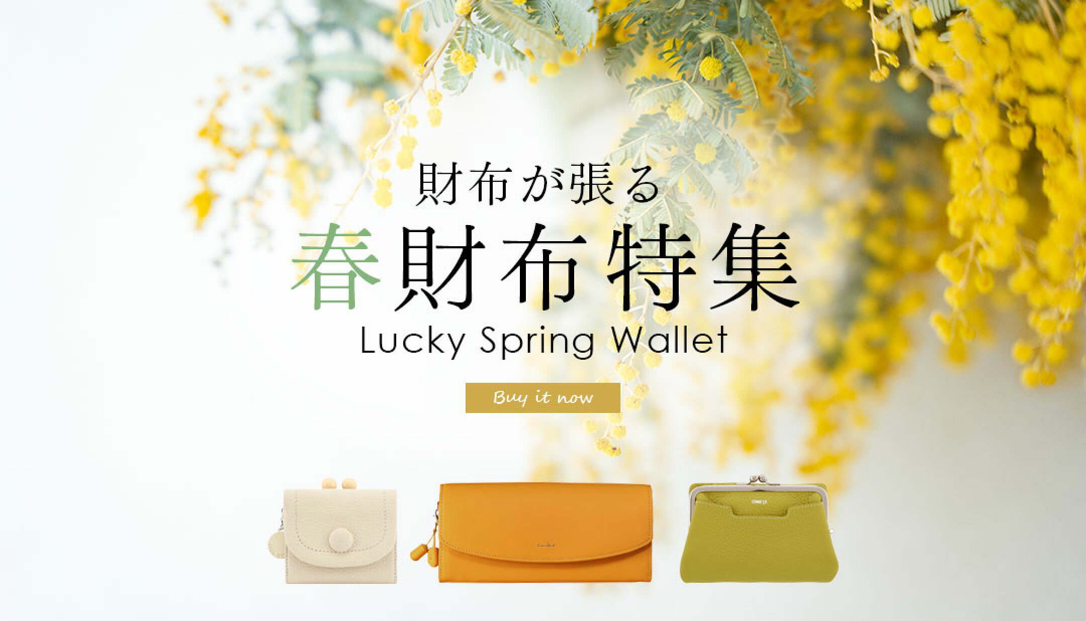 春財布