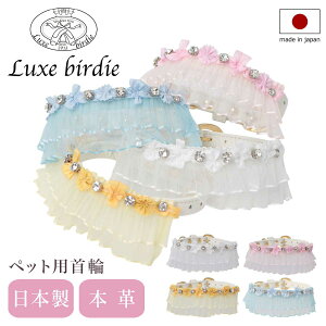 NXo[fB  p STCY ^ { {v Luxebirdie 9457 ~G[J[ 21TCY |  킢  т pi ybgObY[]