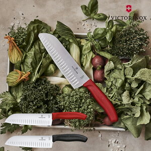 rNgmbNX O  iCt 170mm 17cm H@gp XeX XCXNVbN 6852117-X1 6852317E VICTORINOX | 悭؂