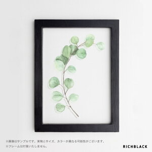 NA|X^[ [J A[g A3ʕ hCt[ EFJ   Vv mN mg[ t[ JtF Ǌ| CeAVz V  킢 k k