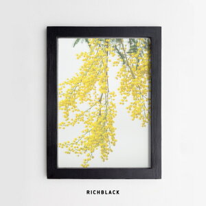 A |[g[g NA|X^[ A4~U [J Xe V |X^[  |X^[  _ k k ؍ T[t JtHjA C jO CeA i`