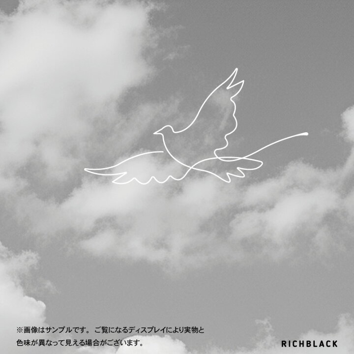 free bird 線画 ポスター A1 A2 A3 サイズアート 空 鳥 雲 ラインアート 抽象 ホテル ラウンジ カフェ 韓国 子供部屋 北欧 玄関 ジャパンディ リビング ウェルカム シンプル ナチュラル モノトーン 白黒 インテリア おしゃれ かわいい 大きい