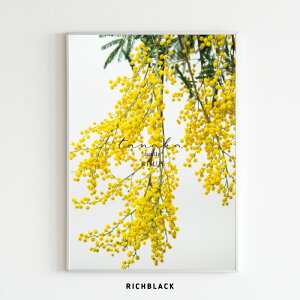  Family |X^[ ~U A4 TCYCG[  Ƒ q c O IWi Vz A[g ؍ k WpfB  y EFJ Vv i` _ CeA 