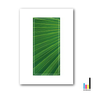 GREEN A[g vg |X^[ [ A1 ]Vv R ʐ^ t[ ~j} i` fUCi[Y CeAO[ tFCNO[ CeAA[g ϗtA JtF X