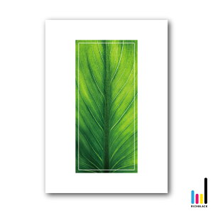 GREEN A[g vg |X^[ [ A1 ]Vv R ʐ^ t[ ~j} i` fUCi[Y CeAO[ tFCNO[ CeAA[g ϗtA JtF X