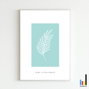 [t2 A[g vg |X^[ [ A4 ]k k kCeA G hCt[ Vv R ʐ^ t[ i` fUCi[Y tFCNO[ hCt[ Ce