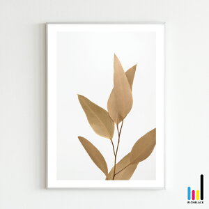 EB[ [J vg |X^[ [ A2 ]k k kCeA keCXg G hCt[ Vv R ʐ^ t[ i` fUCi[Y tFCNO[ Ce