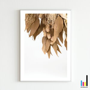 [J XbO vg |X^[ [ A3 ]k k kCeA keCXg G hCt[ Vv R ʐ^ t[ i` fUCi[Y tFCNO[ Ce