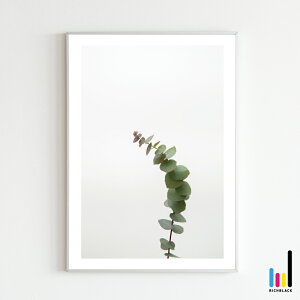 [J vg |X^[ [ A3 ]k k kCeA keCXg G hCt[ Vv R ʐ^ t[ i` fUCi[Y tFCNO[ CeAA[g