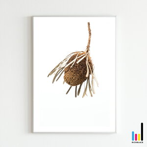 oNV[ vg |X^[ [ A1 ]k k kCeA keCXg G hCt[ Vv R ʐ^ t[ i` fUCi[Y tFCNO[ CeAA