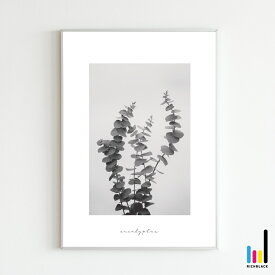 ユーカリ モノトーン プリント ポスター [ A2 ]北欧 北欧風 北欧インテリア 北欧テイスト 雑貨 モノクロ 白黒 ドライフラワー シンプル 自然 写真 フレーム ナチュラル インテリアアート 観葉植物 植物 かわいい おしゃれ