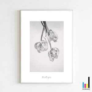 `[bv mg[ vg |X^[ [ A2 ]k k kCeA keCXg G mN  hCt[ Vv R ʐ^ t[ i` CeAA[g 