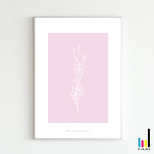  A[g vg |X^[ [ A3 ] cherry blossom sN t k kCeA G k keCXg ԕ hCt[ Vv R t[ i` fUCi[Y Ce