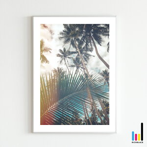 SUMMER A[g |X^[ [ A1 ]C l r[` T[t T[tB ʐ^ CeA jOCeA G g vg tHg Vv G  Ǌ| tHg t[ pl A[g 唻 