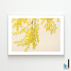 ~U A[g |X^[ A2 tHgmimosa ʐ^ k k keCXg kG t CG[ hCt[ XbO Ǌ| Vv A[g ^C|OtB[ t[ i` Ce