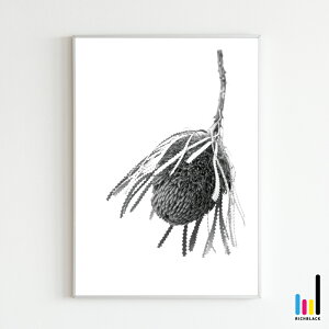 oNV[ mg[ |X^[ [ A2 ]oNVA k k kCeA keCXg G mN  hCt[ t[ Vv R ʐ^ vg t[ i`