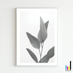 EB[[J mg[ |X^[ [ A2 ][J k k kCeA keCXg G mN  hCt[ t[ Vv R ʐ^ vg t[ i`