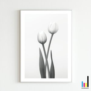 `[bv mg[ |X^[ [ A3 ]k k kCeA keCXg G mN  t[ Vv R ʐ^ vg t[ i` CeAA[g ̓ 