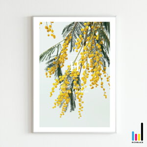 CjVύX ~U EFJ |X^[ [ A1 ]t EFJ{[h TC   ʐ^ Vv ^C|OtB[ i`  t[ CeA A[gVz z V