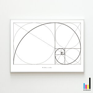 S3F  Golden ratio A[g |X^[ [ A1 ]􉽊w͗l WIgbN  Vv mN mg[  t[ ~j} fUCi[Y CeA CeAA[g IuWF