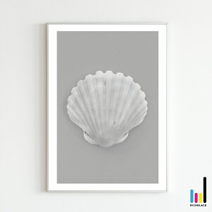 Shell mg[ |X^[ [ A3 ]L Lk C r[` g nCA T[t T[tB A[g|X^[ CeA Vbv G ʐ^ vg mN  Vv R 唻  t[