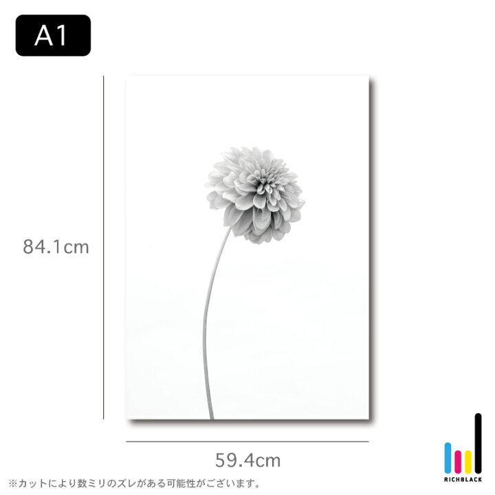 楽天市場 ダリア モノトーン ポスター A1 花 夏 北欧 北欧風 北欧インテリア 北欧テイスト 雑貨 モノクロ 白黒 ドライフラワー フラワー シンプル 自然 写真 プリント フレーム ナチュラル インテリア アート 観葉植物 植物 かわいい おしゃれ 特大 Richblack 01