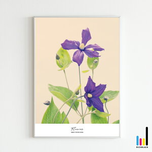 flowers ʐ^ A[g |X^[ [ A3 ]N}`X   t[ A k k keCXg bNX CeA Vbv G G ʐ^ vg Vv R 唻  t[ i`